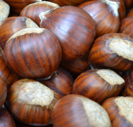 Şabalıd