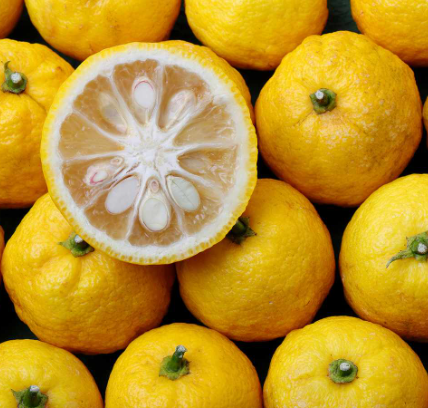 Yuzu